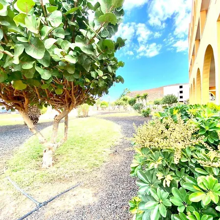 Apartament Bonito Apartamento De Un Dormitorio, Con Vista A La Piscina En Costa De Silencio, Tenerife Sur *